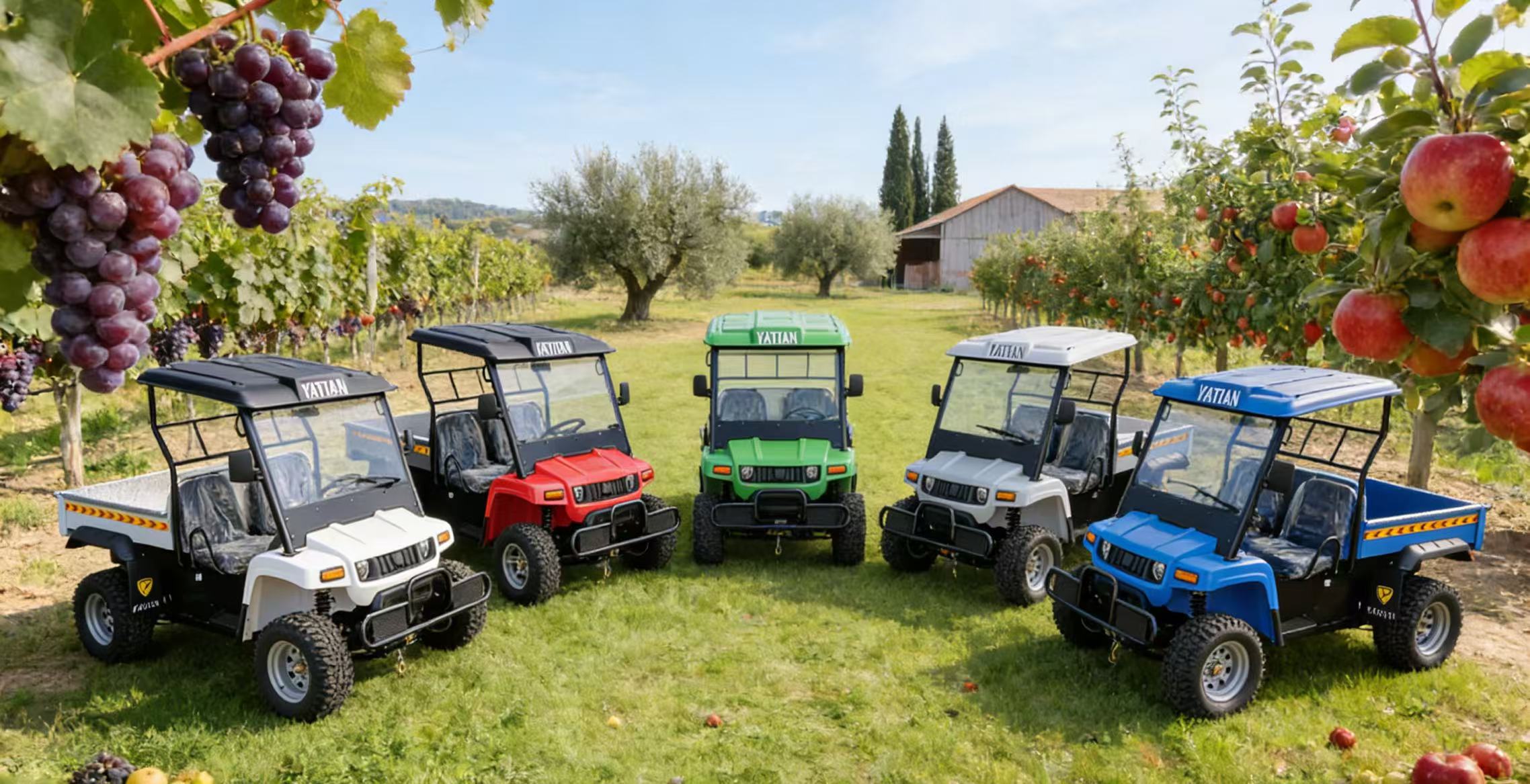 الصورة_20251205134837