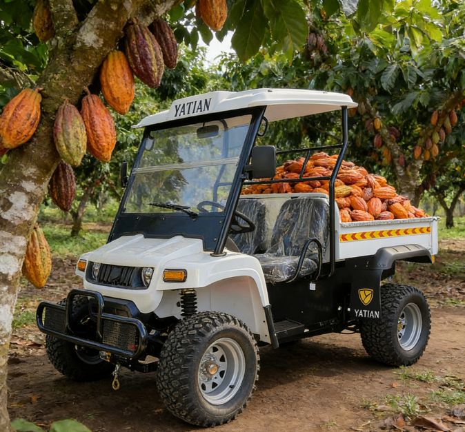 عربة المرافق الكهربائية - 9 