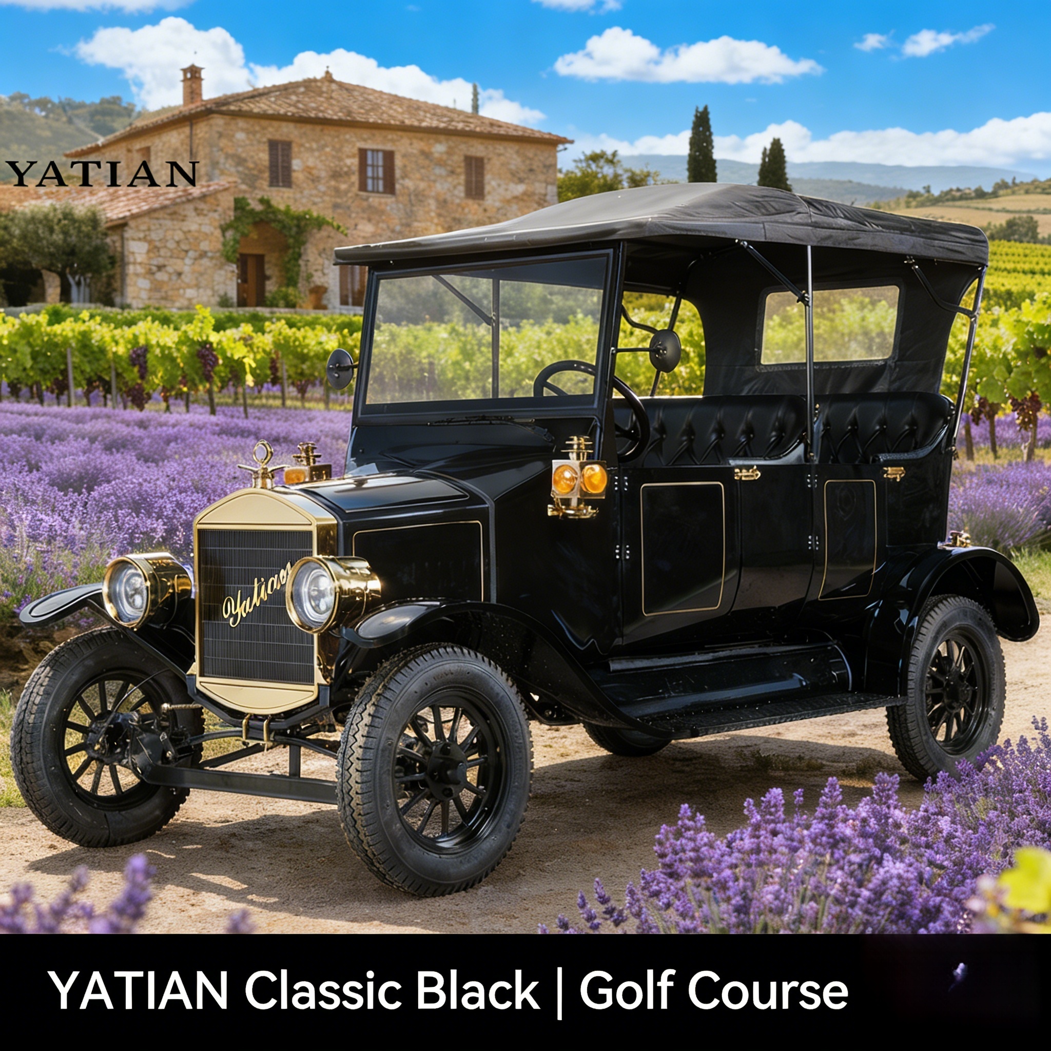 عربة الجولف الكلاسيكية (4)