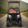 2 4 6 8 مقاعد عربات الغولف الكهربائية فائدة سيارة الغولف على الطرق الوعرة لعبة غولف عربات التي تجرها الدواب للبيع بسعر جيد