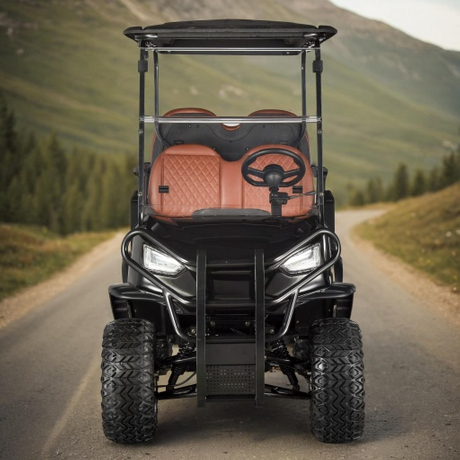 2 4 6 8 مقاعد عربات الغولف الكهربائية فائدة سيارة الغولف على الطرق الوعرة لعبة غولف عربات التي تجرها الدواب للبيع بسعر جيد