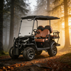 Yatian Electric UTV 4x4: العمود الفقري لجميع التضاريس للصيد والزراعة ومهام الطرق الوعرة